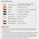 Máquina Detox Ionic Foot Spa – Banho de Pés Ionizador & Massagem Relaxante