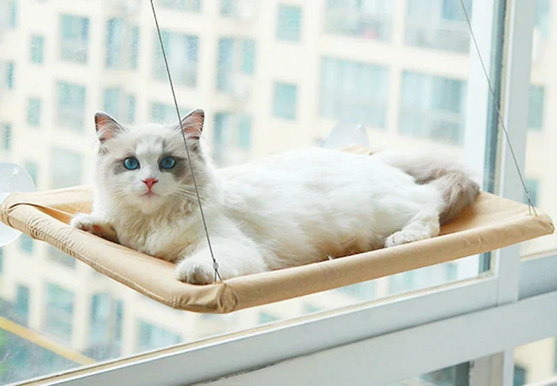 Rede Suspensa para Gatos – Conforto e Diversão com Vista para o Exterior