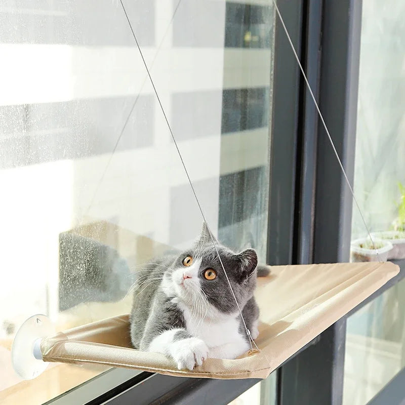 Rede Suspensa para Gatos – Conforto e Diversão com Vista para o Exterior